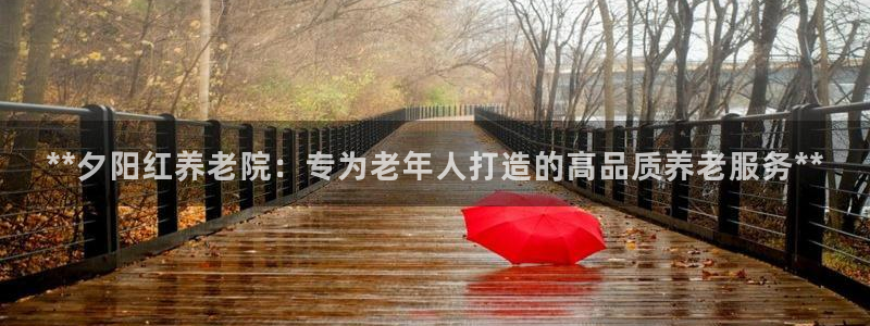 韦德1946始于英国