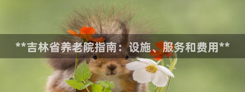 韦德是哪个