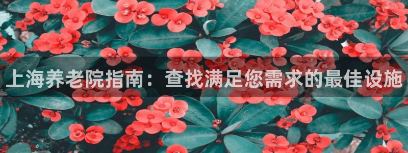 韦德游戏大厅