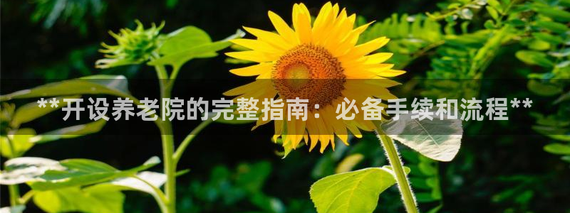 韦德1946中文官网