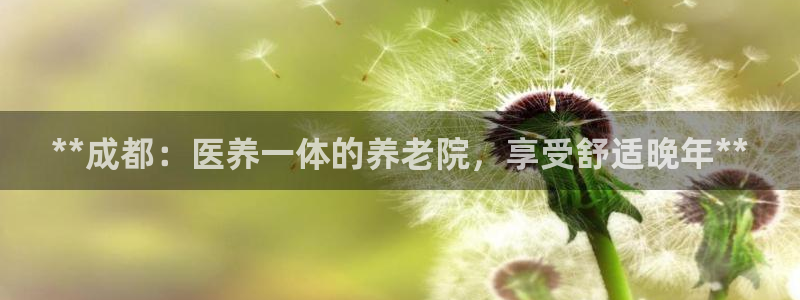 韦德1946bv1946