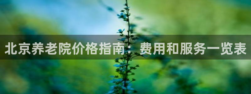韦德网站是多少