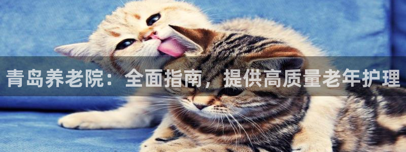 韦德1946客户端