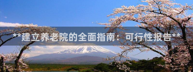 韦德是哪一届
