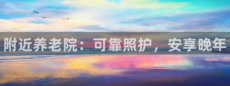 韦德的游戏