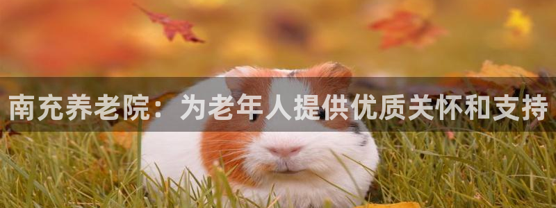 1946韦德找回密码