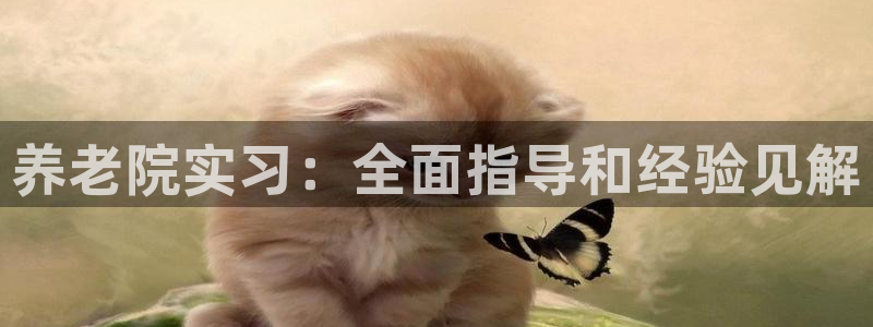 韦德bietview官网