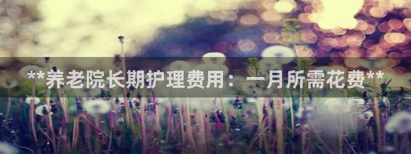 韦德网址是多少