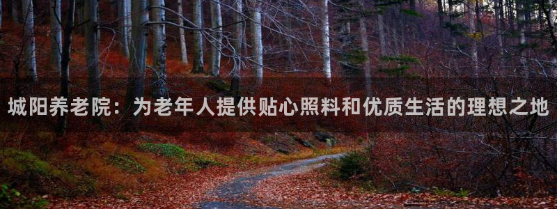 韦德新品