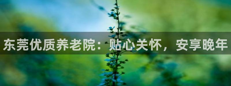 韦德是哪个
