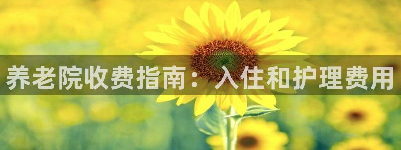 韦德是哪个