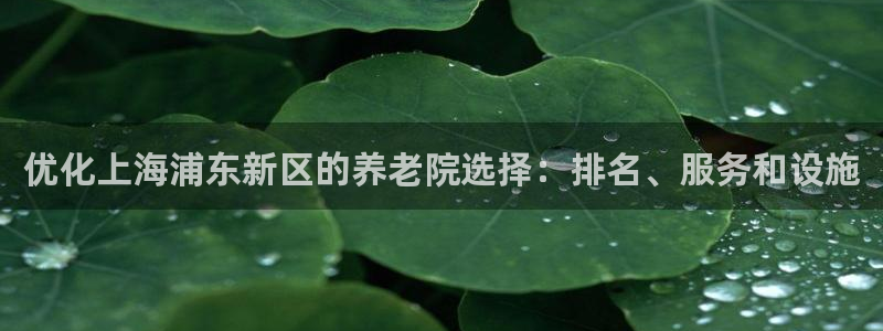 韦德1946游戏