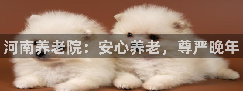 韦德1946官网最新版