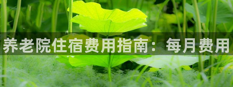 韦德betvlctor1946