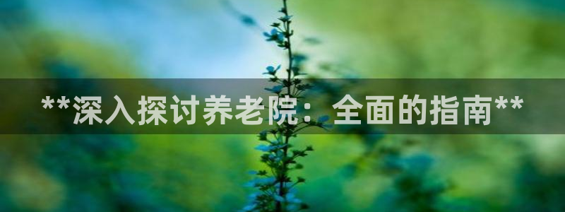 韦德事件