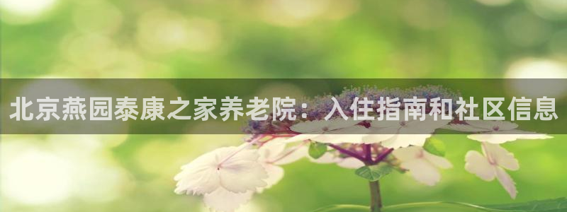 韦德1946备用网站