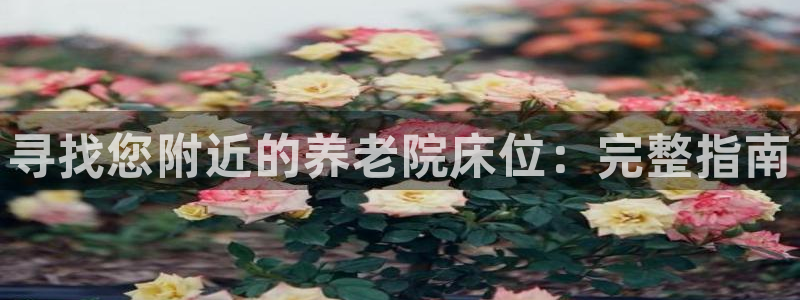 韦德 官网