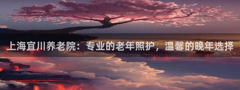 韦德观战总决赛G3