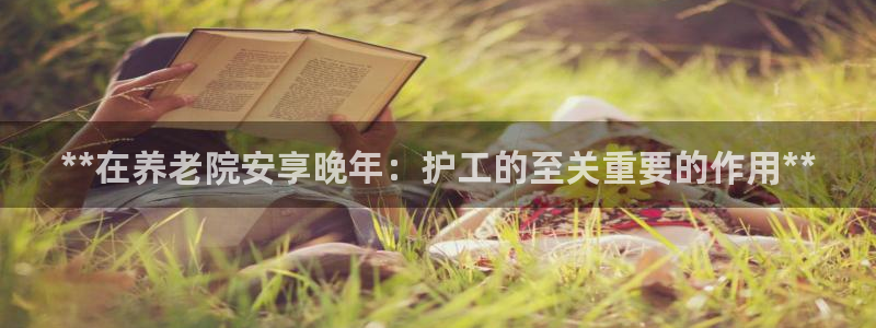 韦德 网站