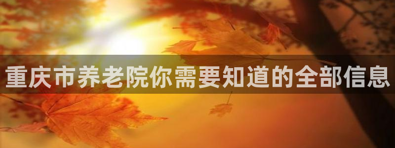 韦德8月22日开启中国行