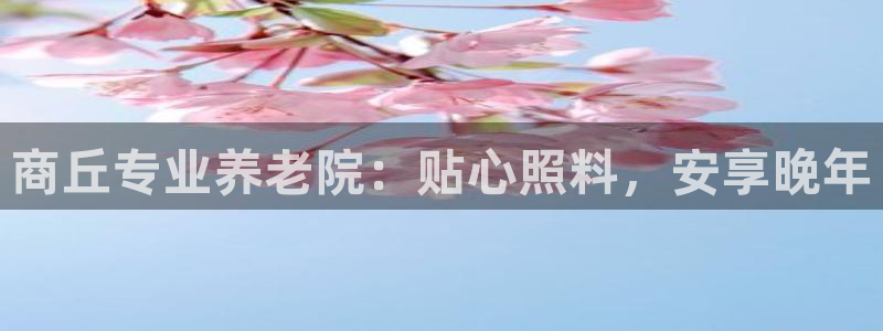韦德是哪一届