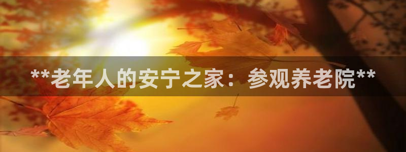 韦德网址是多少