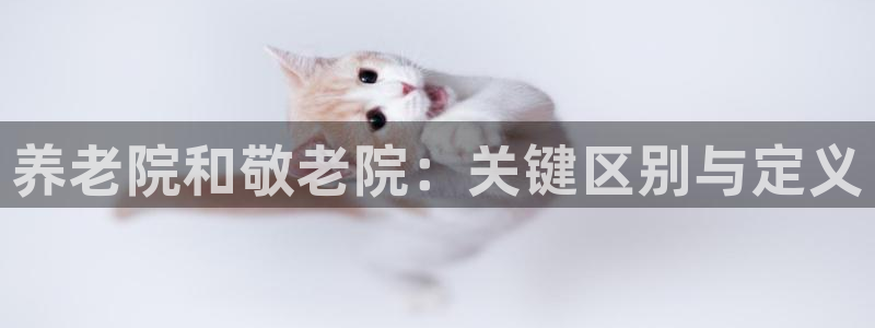 韦德1946