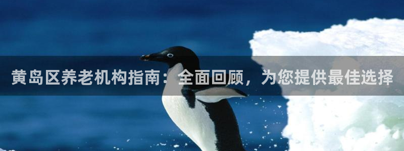 韦德1946博客