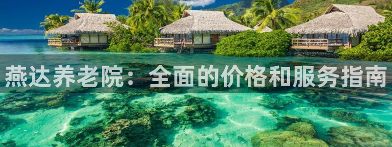 韦德网站是多少