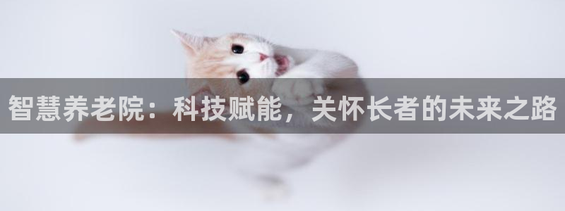 韦德2016