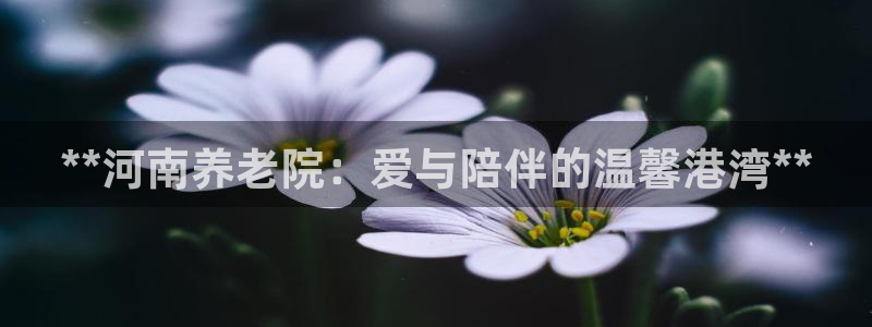 韦德国际体育
