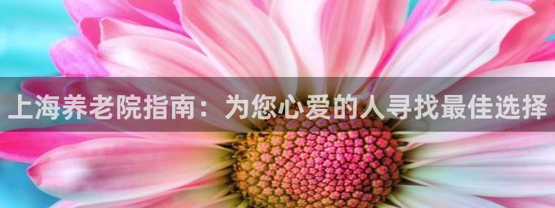 韦德app手机下载