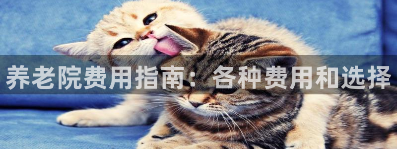 韦德新品