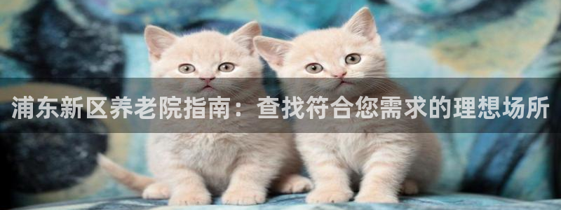 韦德1946始于英国