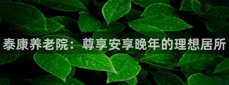 韦德网址是多少