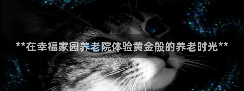 韦德1946网址