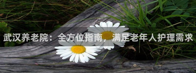 韦德bietview官网