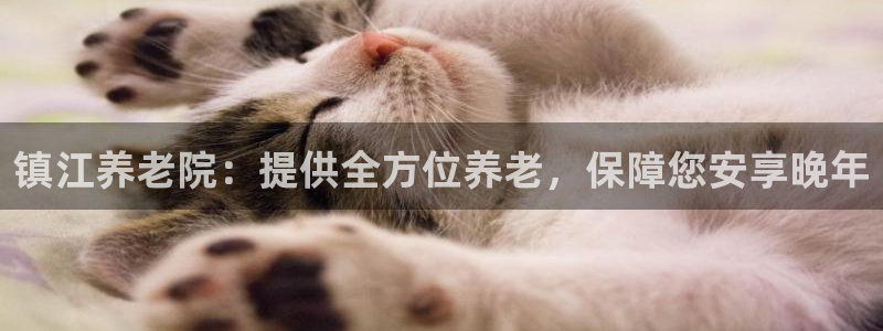 韦德游戏是什么