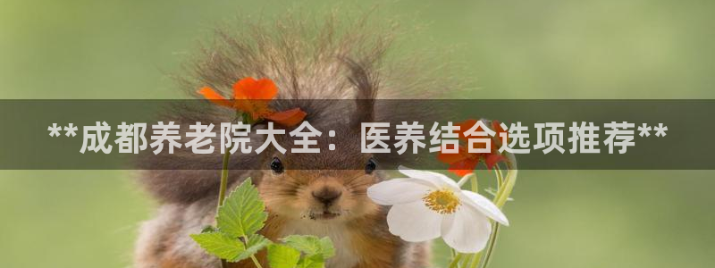 韦德官网在线