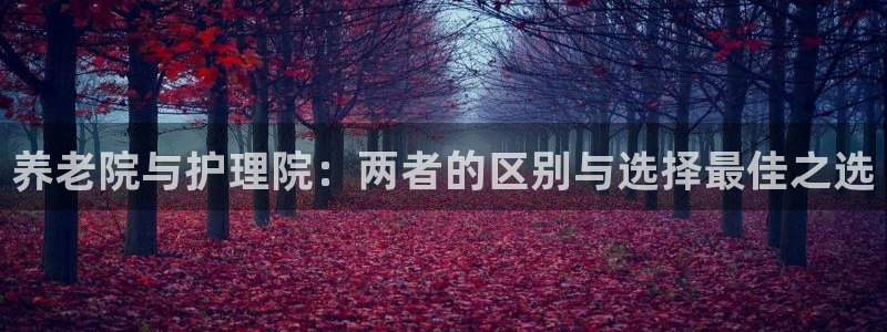 韦德网站官网