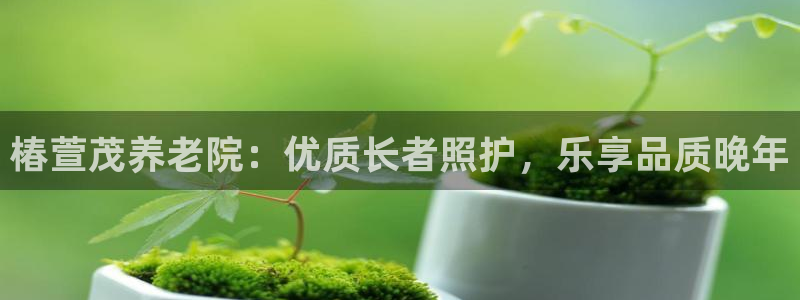 韦德的地位