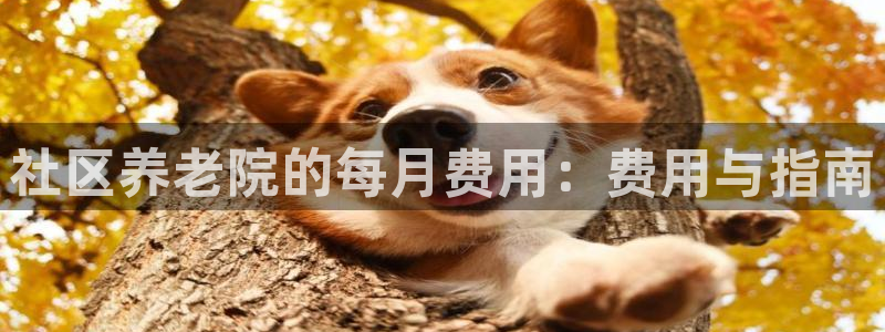 韦德 1946