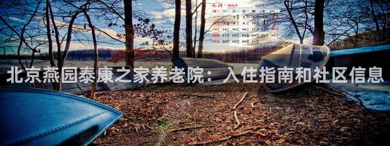 韦德2014