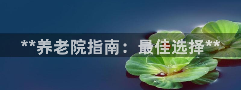 韦德1946中文官网