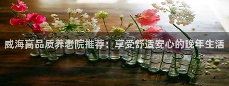 韦德游戏是什么