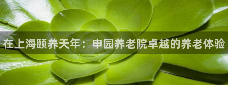 韦德国际1946官网