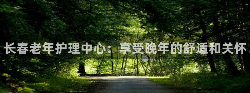 韦德游戏是什么