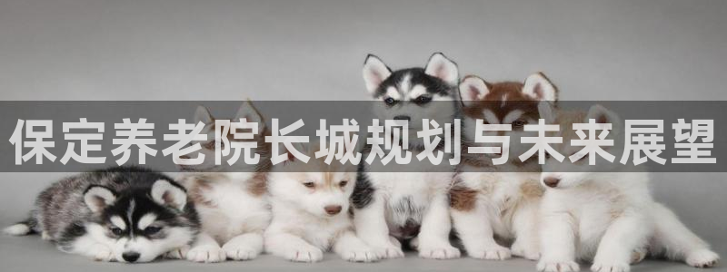 韦德合集