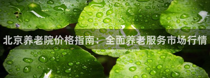 韦德官方下载