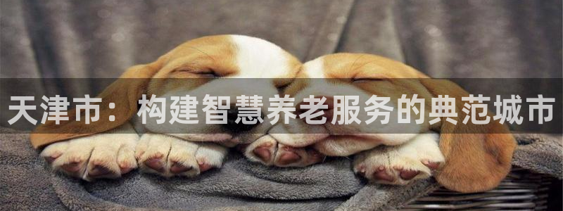 韦德合集
